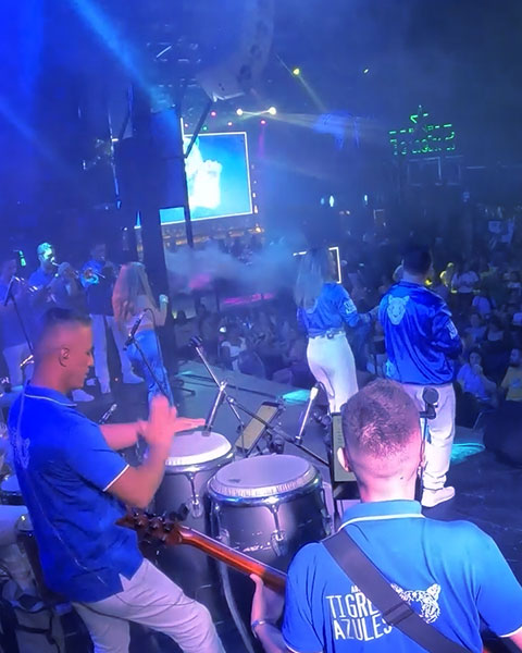 TIGRES-AZULES-3
